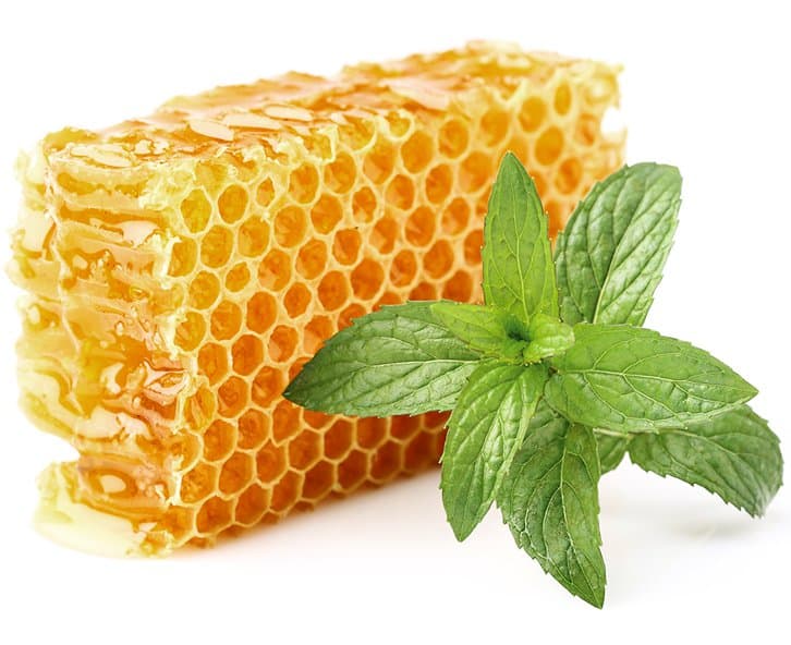 A block of honeycomb